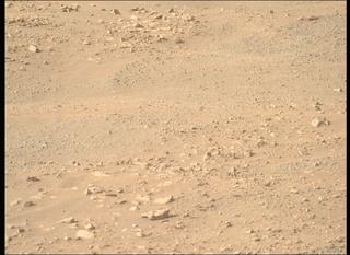 View image taken on Mars, Mars Perseverance Sol 1717: Right Mastcam-Z Camera