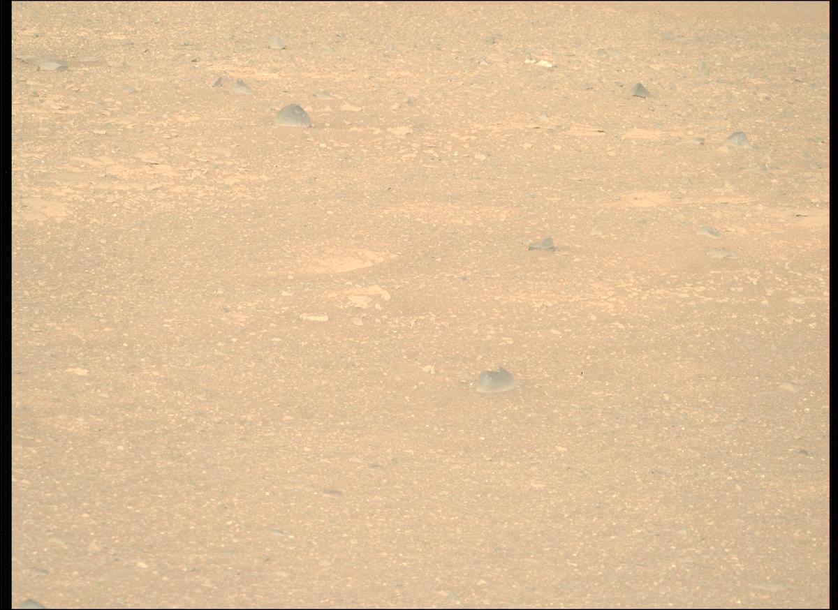 This image was taken by MCZ_RIGHT onboard NASA's Mars rover Perseverance on Sol 1717