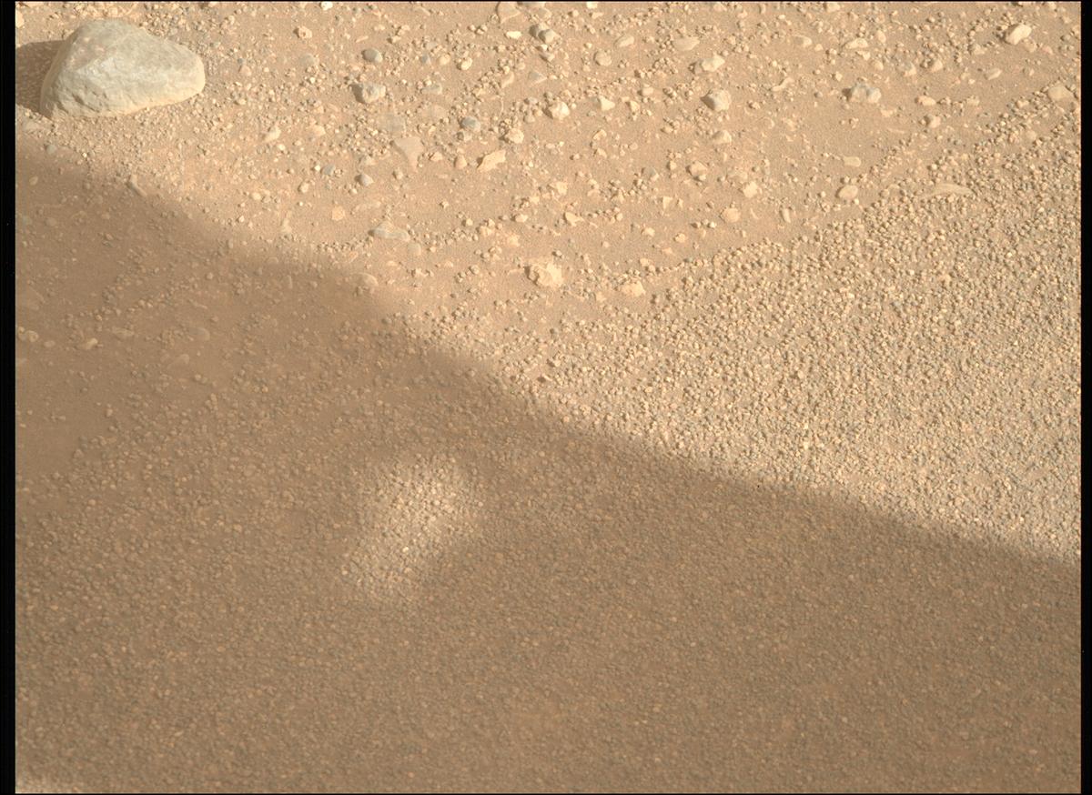 A photo taken by a Mars Rover.