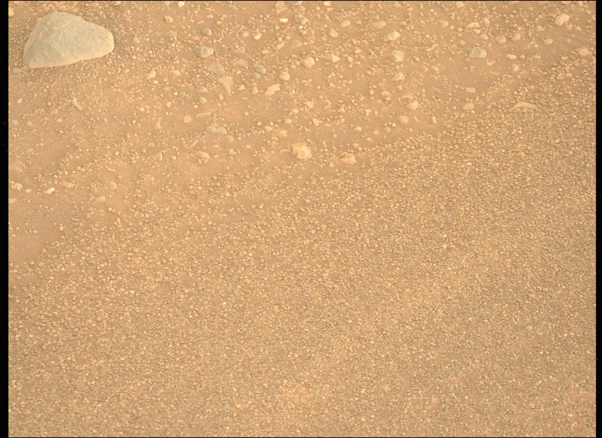 A photo taken by a Mars Rover.