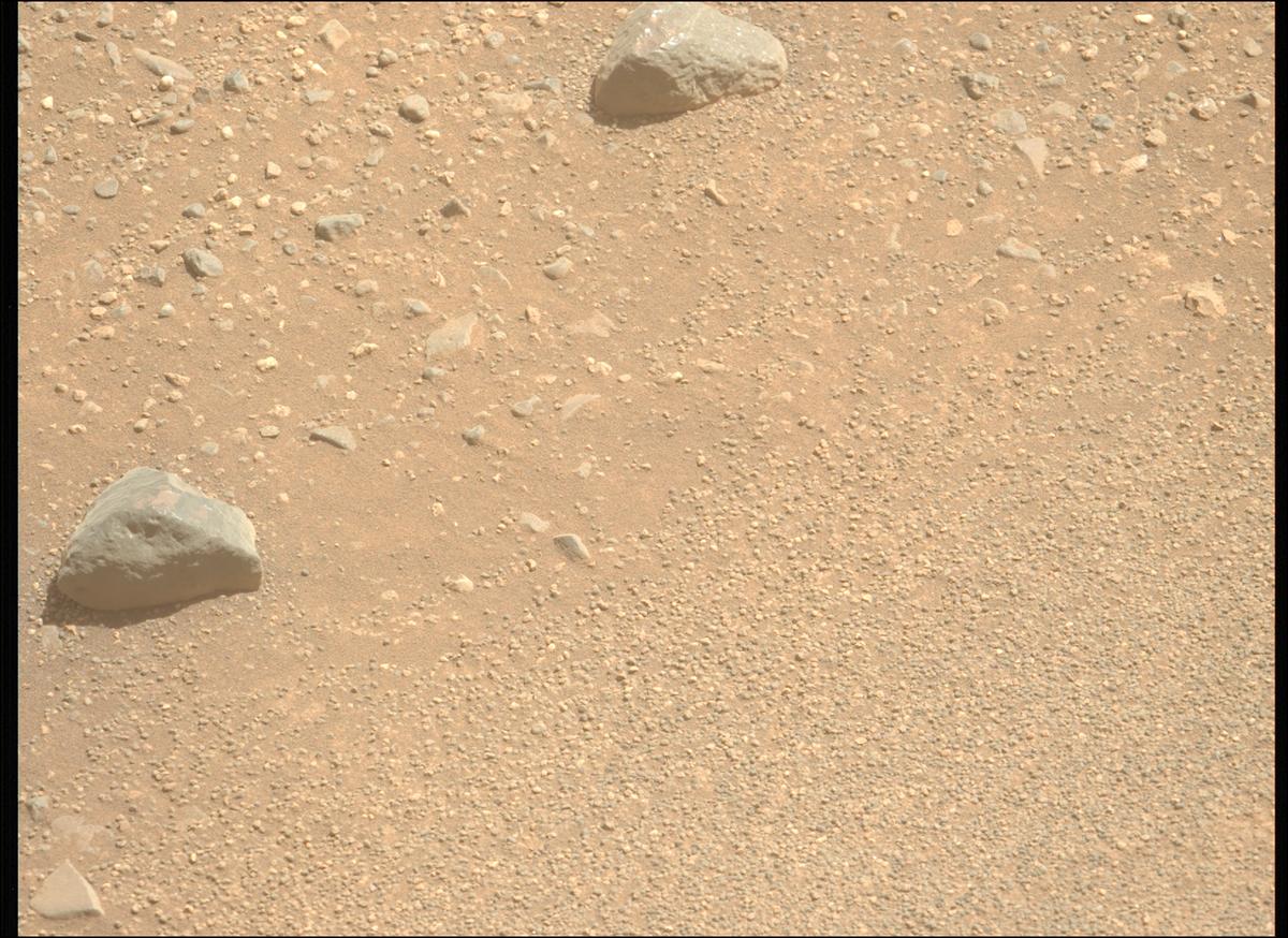 Image of the Week taken by Perseverance