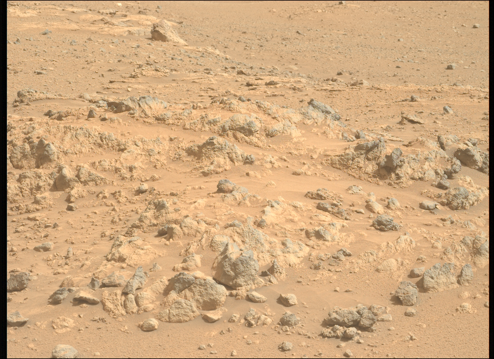 Sorry, no caption provided by author