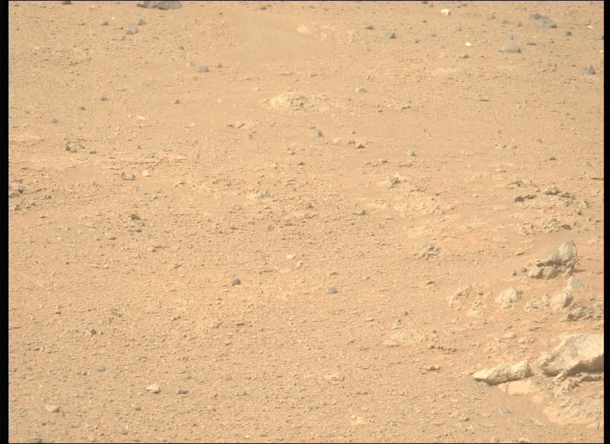 This image was taken by MCZ_LEFT onboard NASA's Mars rover Perseverance on Sol 1764