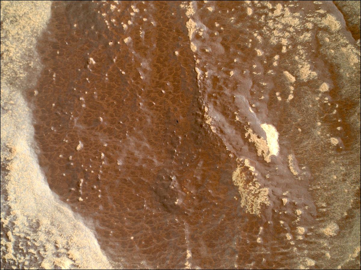 This image was taken by SHERLOC_WATSON onboard NASA's Mars rover Perseverance on Sol 1766