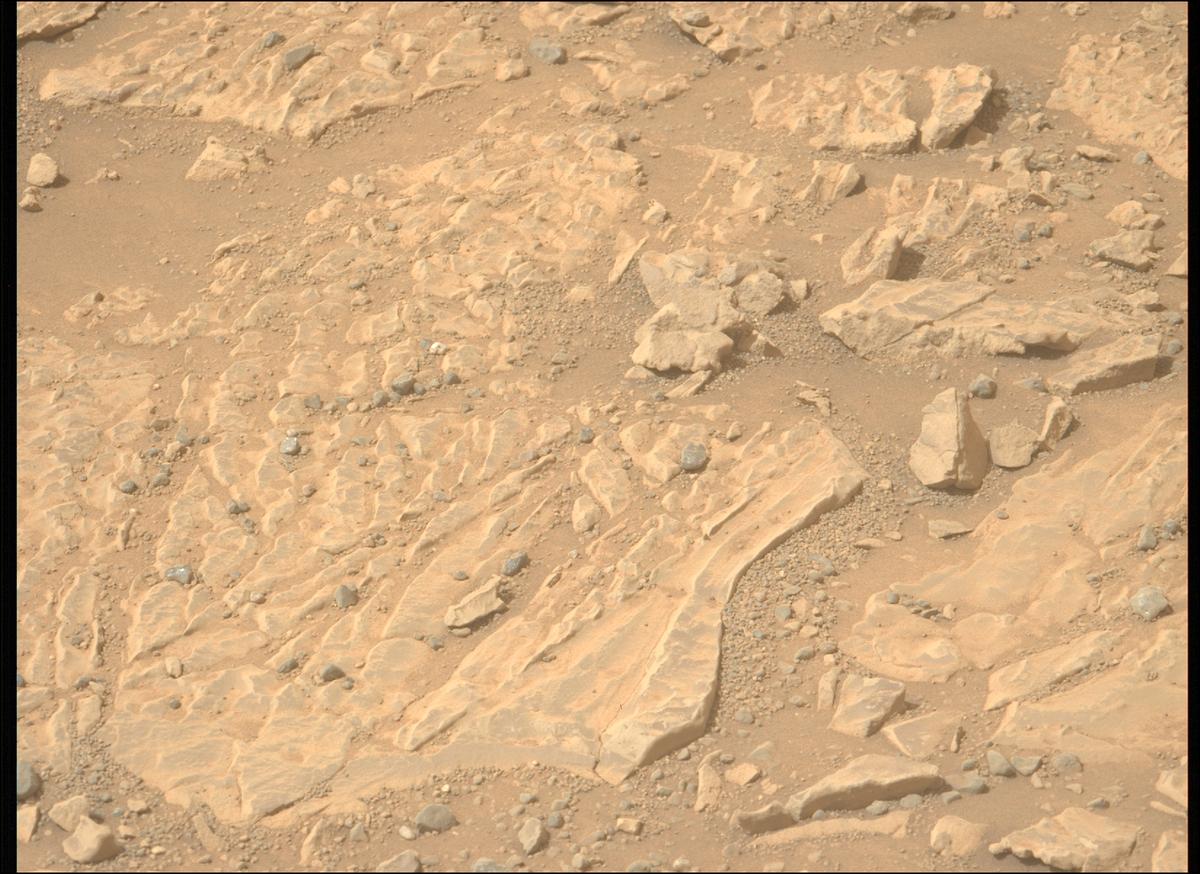 This image was taken by MCZ_LEFT onboard NASA's Mars rover Perseverance on Sol 1766