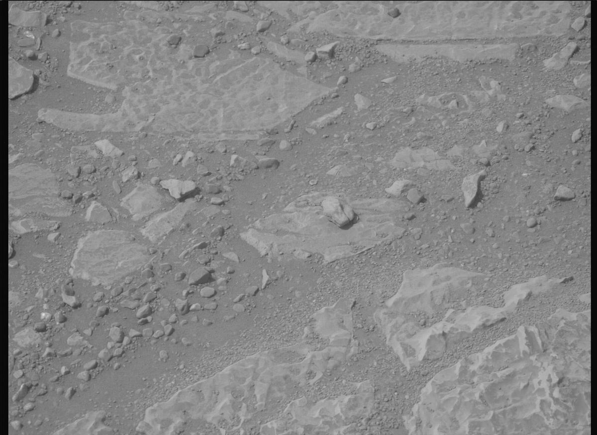 This image was taken by MCZ_LEFT onboard NASA's Mars rover Perseverance on Sol 1766