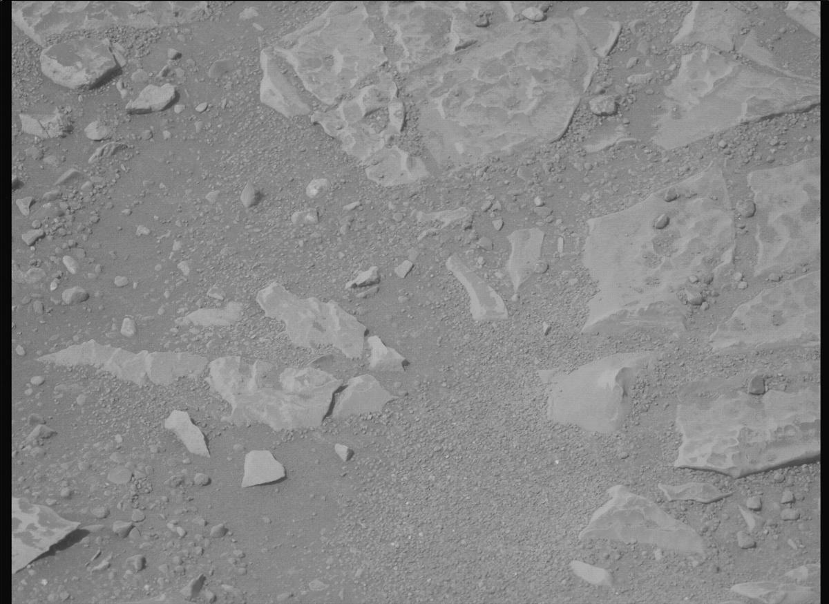 This image was taken by MCZ_LEFT onboard NASA's Mars rover Perseverance on Sol 1766