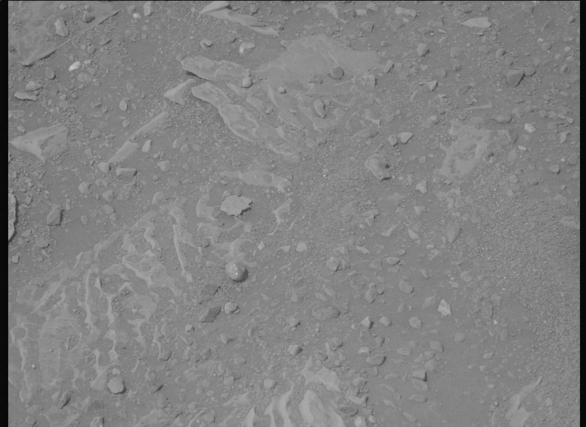 This image was taken by MCZ_LEFT onboard NASA's Mars rover Perseverance on Sol 1766