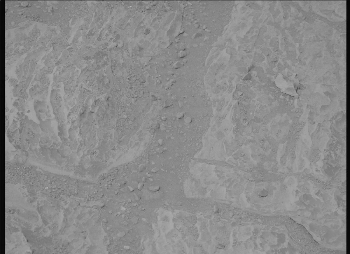 This image was taken by MCZ_LEFT onboard NASA's Mars rover Perseverance on Sol 1766