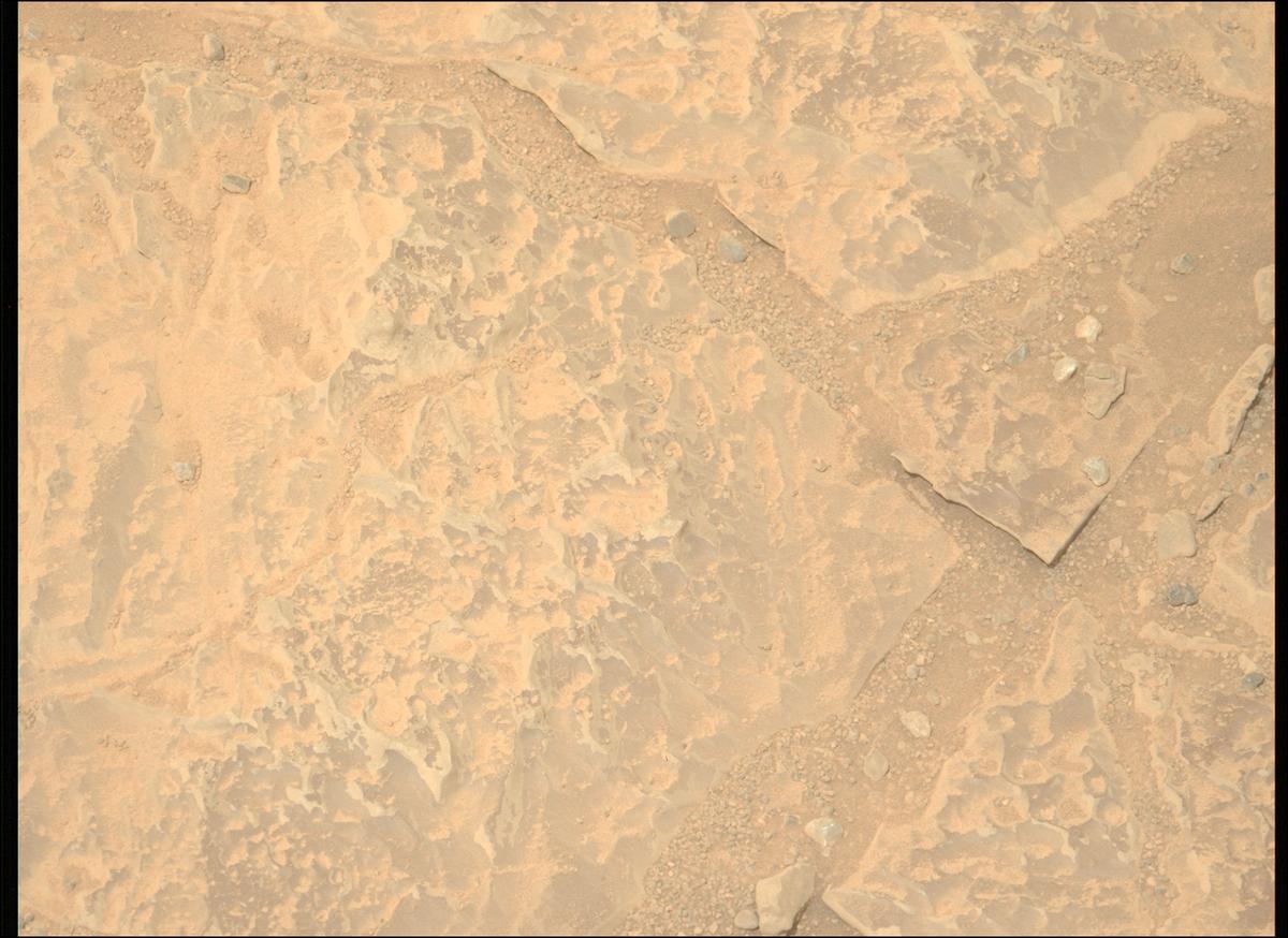 This image was taken by MCZ_LEFT onboard NASA's Mars rover Perseverance on Sol 1766