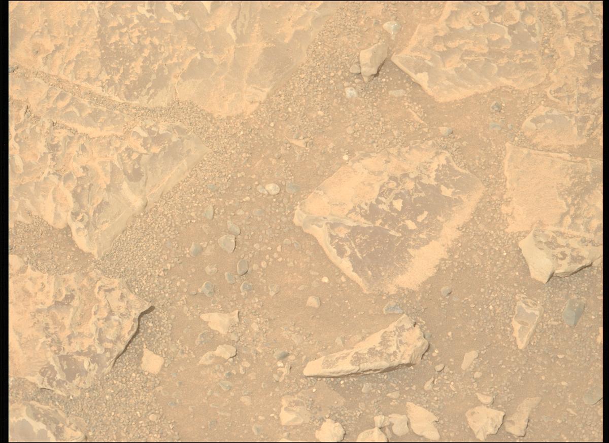 This image was taken by MCZ_LEFT onboard NASA's Mars rover Perseverance on Sol 1766