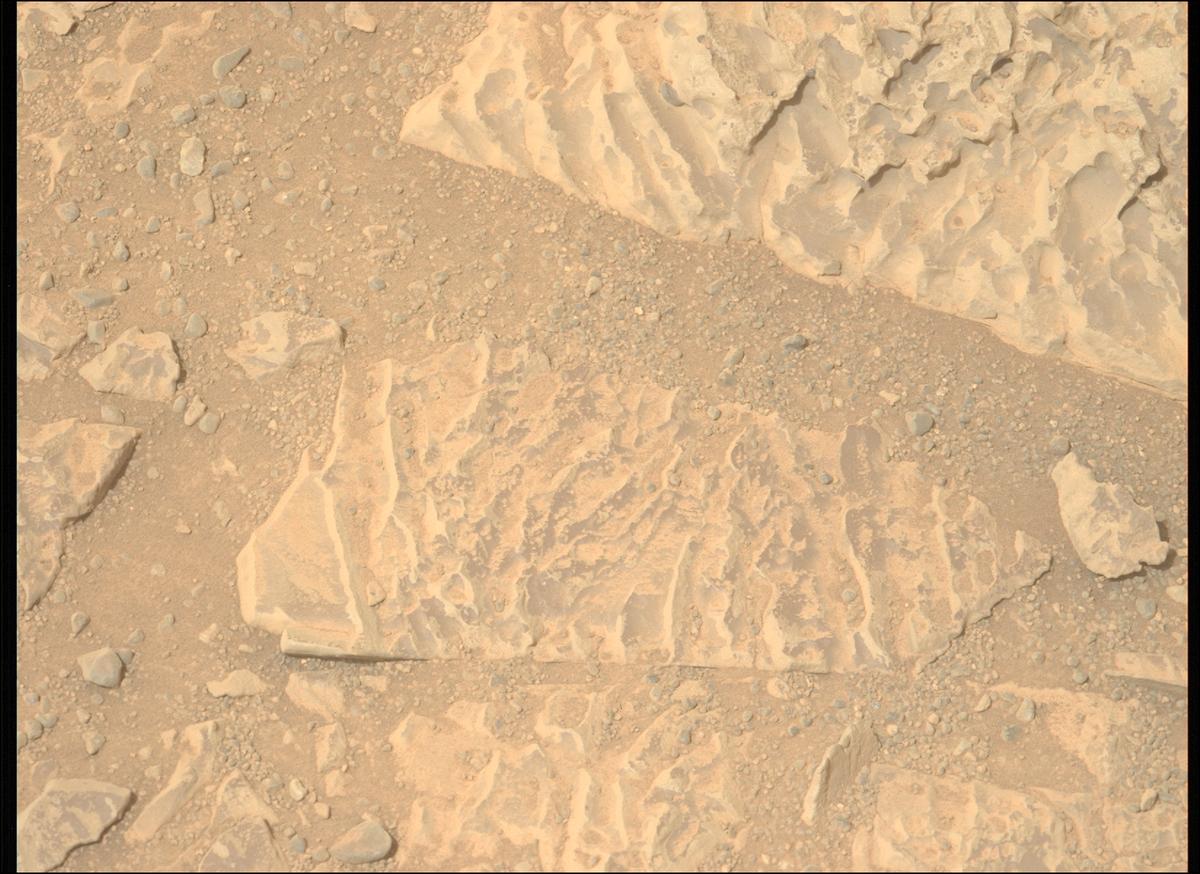 This image was taken by MCZ_LEFT onboard NASA's Mars rover Perseverance on Sol 1766