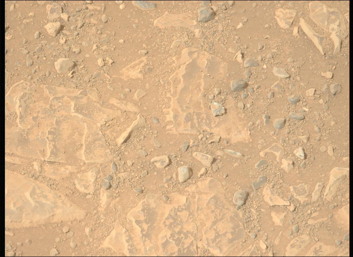 This image was taken by MCZ_LEFT onboard NASA's Mars rover Perseverance on Sol 1766