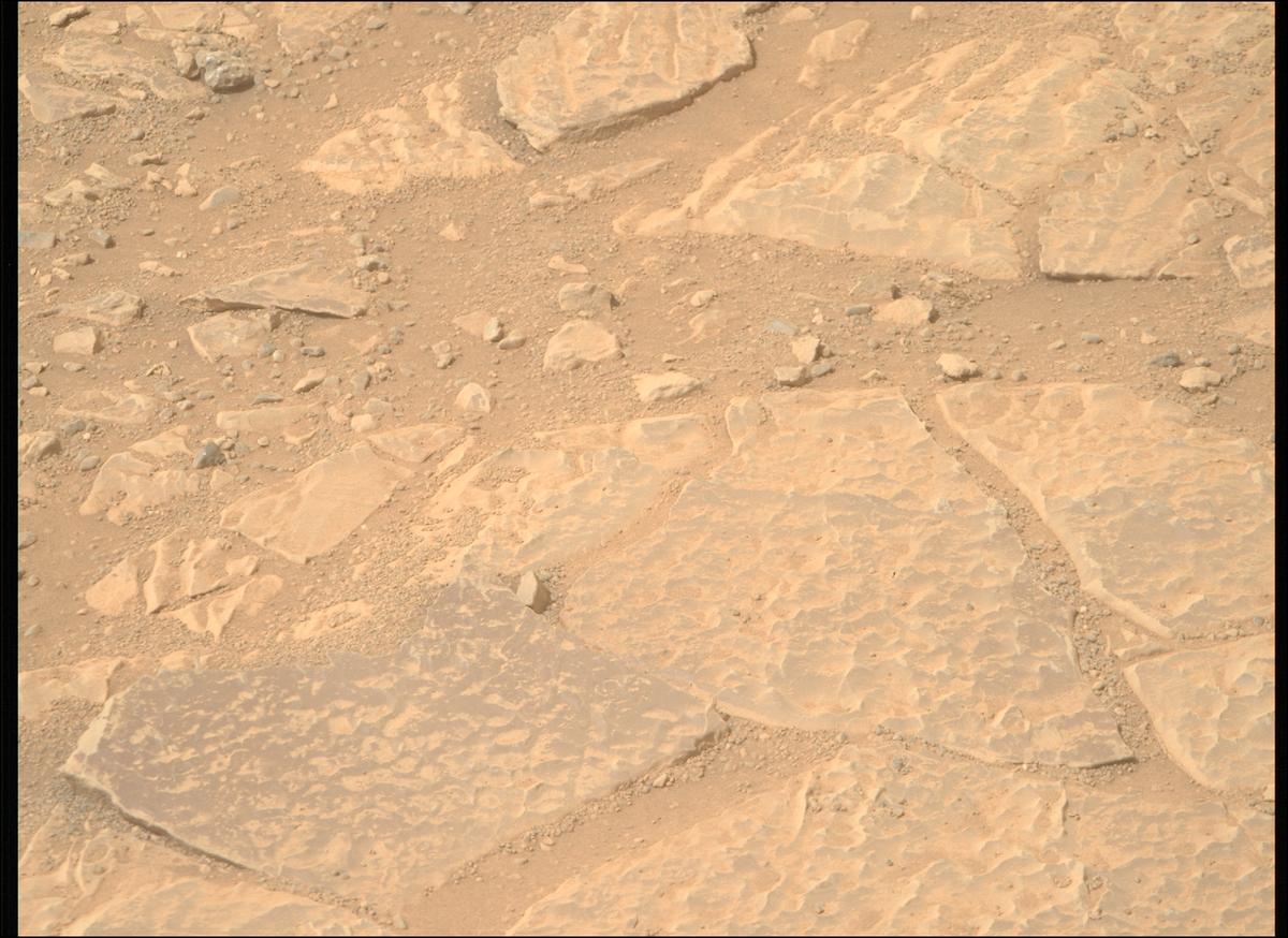 This image was taken by MCZ_RIGHT onboard NASA's Mars rover Perseverance on Sol 1766