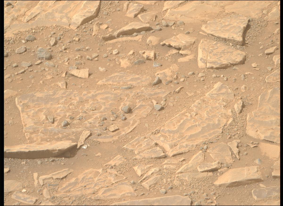 This image was taken by MCZ_RIGHT onboard NASA's Mars rover Perseverance on Sol 1766