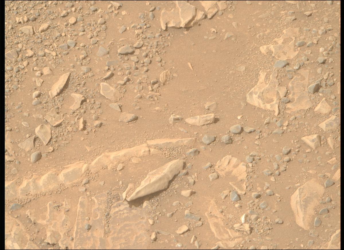 This image was taken by MCZ_RIGHT onboard NASA's Mars rover Perseverance on Sol 1766