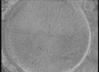 View image taken on Mars, Mars Perseverance Sol 1769: WATSON Camera 