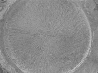 View image taken on Mars, Mars Perseverance Sol 1769: WATSON Camera 