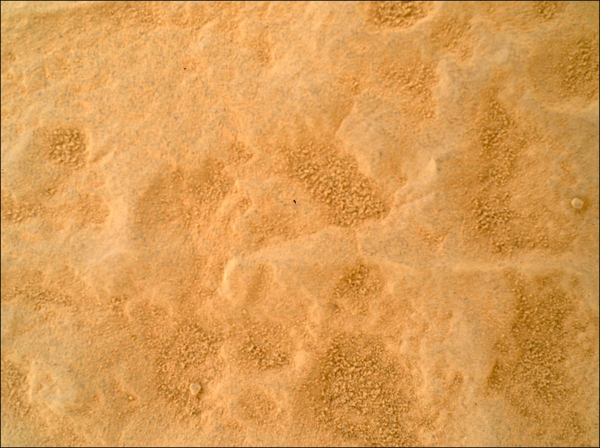 This image was taken by SHERLOC_WATSON onboard NASA's Mars rover Perseverance on Sol 1769