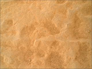 View image taken on Mars, Mars Perseverance Sol 1769: WATSON Camera 