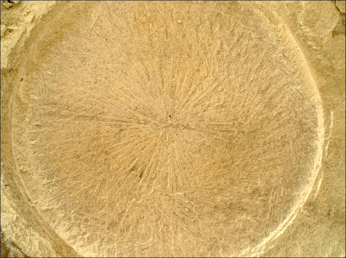 This image was taken by SHERLOC_WATSON onboard NASA's Mars rover Perseverance on Sol 1769