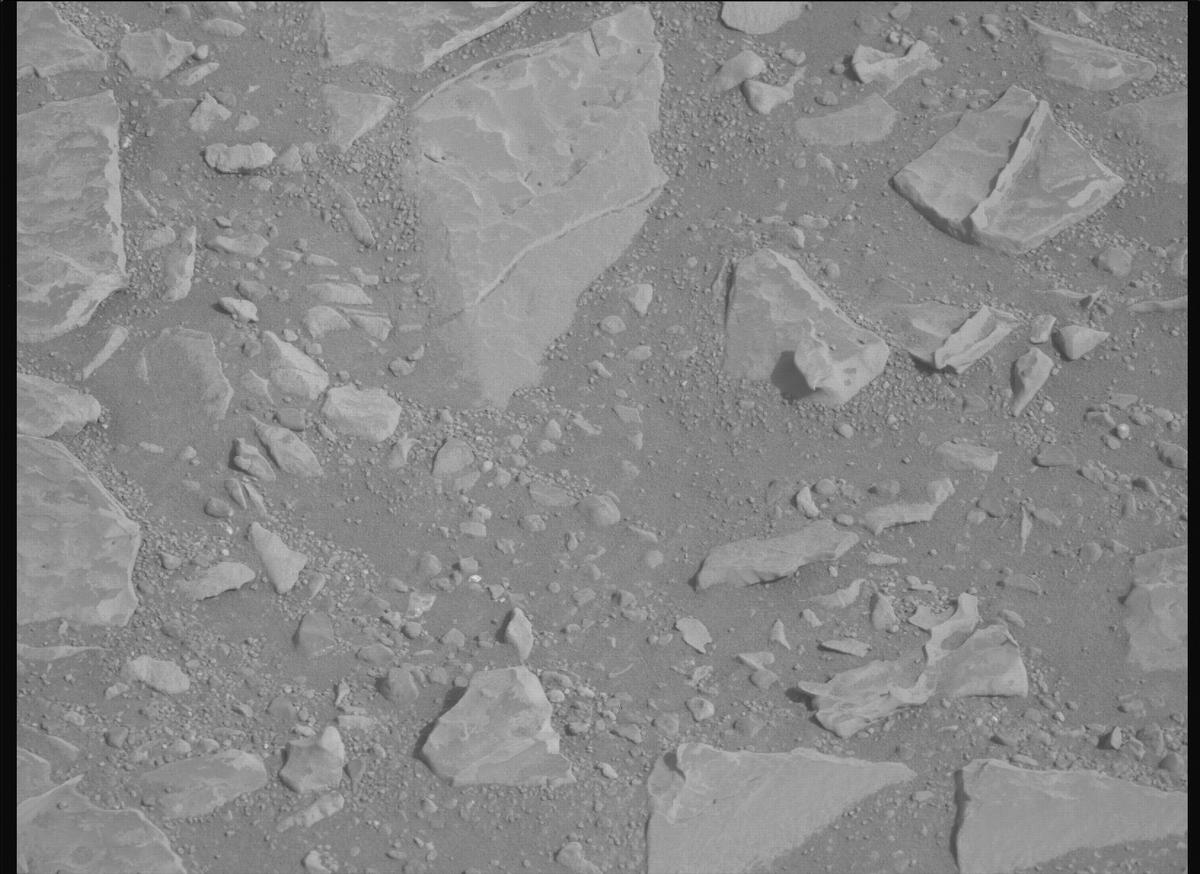This image was taken by MCZ_LEFT onboard NASA's Mars rover Perseverance on Sol 1769
