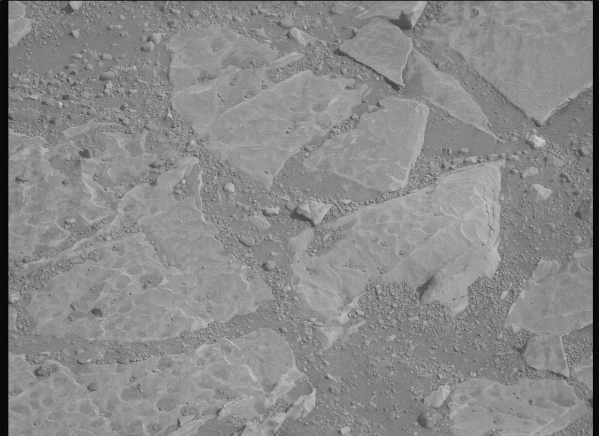 This image was taken by MCZ_LEFT onboard NASA's Mars rover Perseverance on Sol 1769