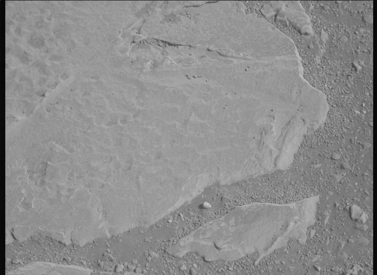 This image was taken by MCZ_LEFT onboard NASA's Mars rover Perseverance on Sol 1769