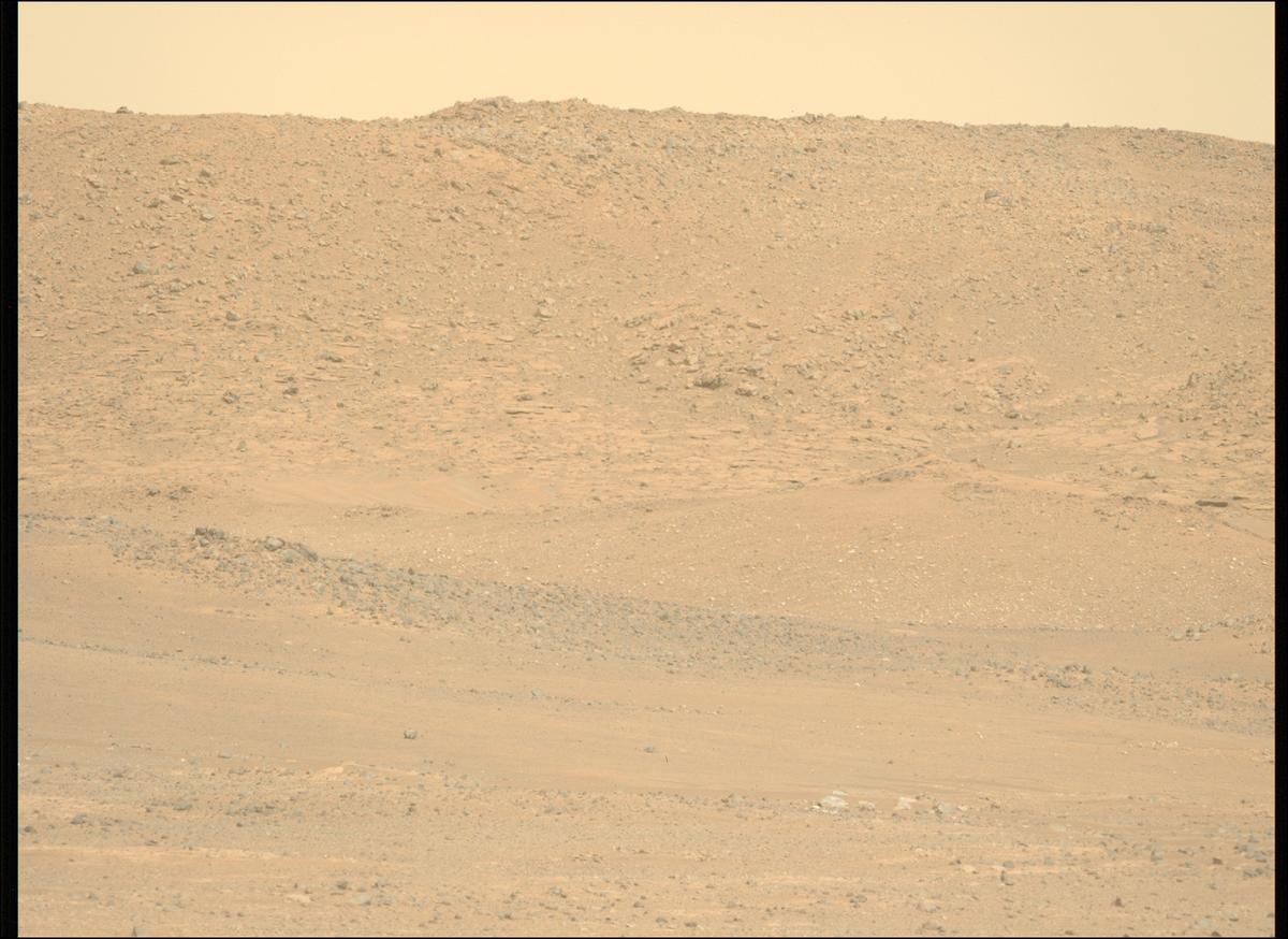This image was taken by MCZ_LEFT onboard NASA's Mars rover Perseverance on Sol 1769