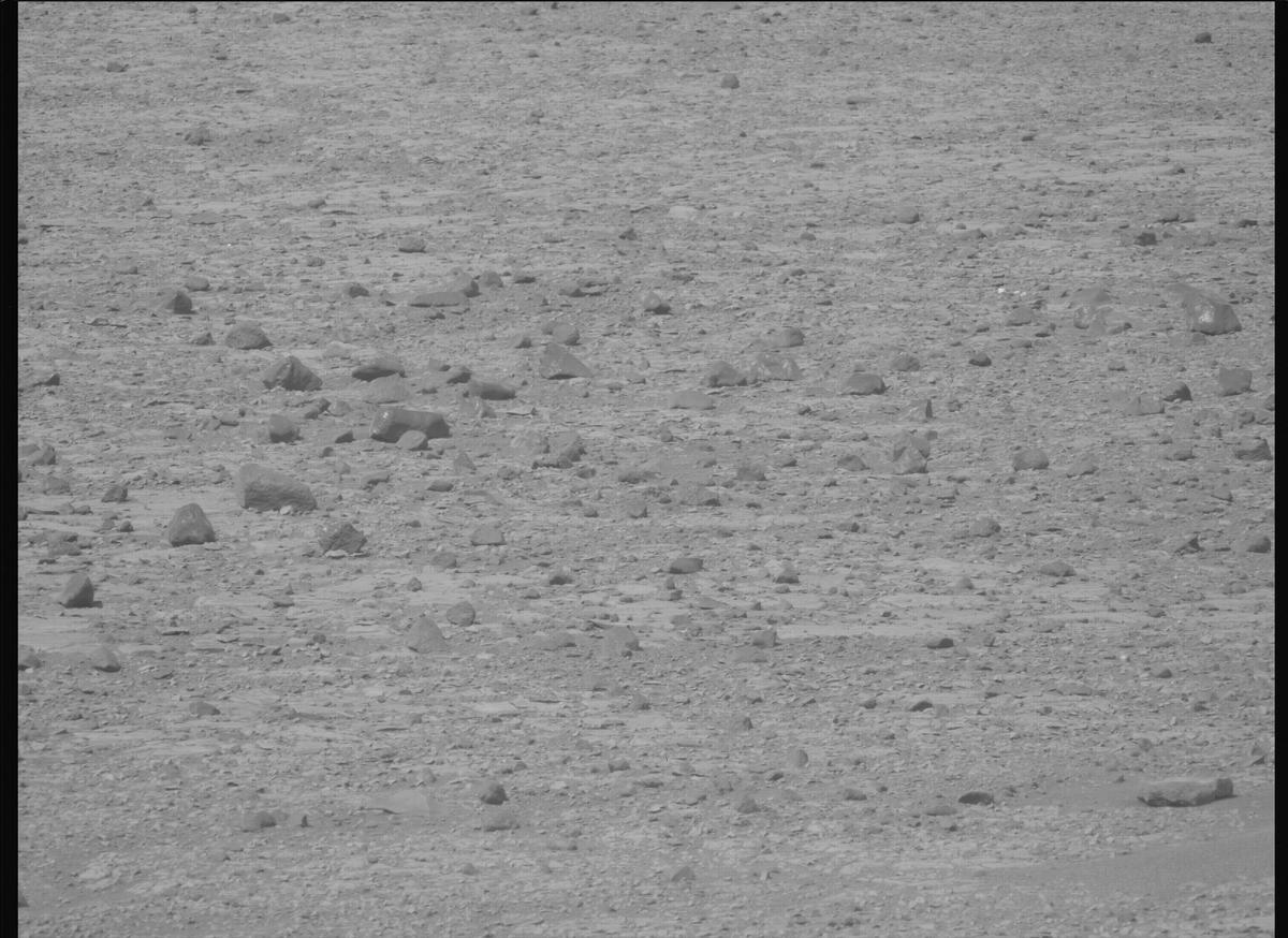 This image was taken by MCZ_LEFT onboard NASA's Mars rover Perseverance on Sol 1769