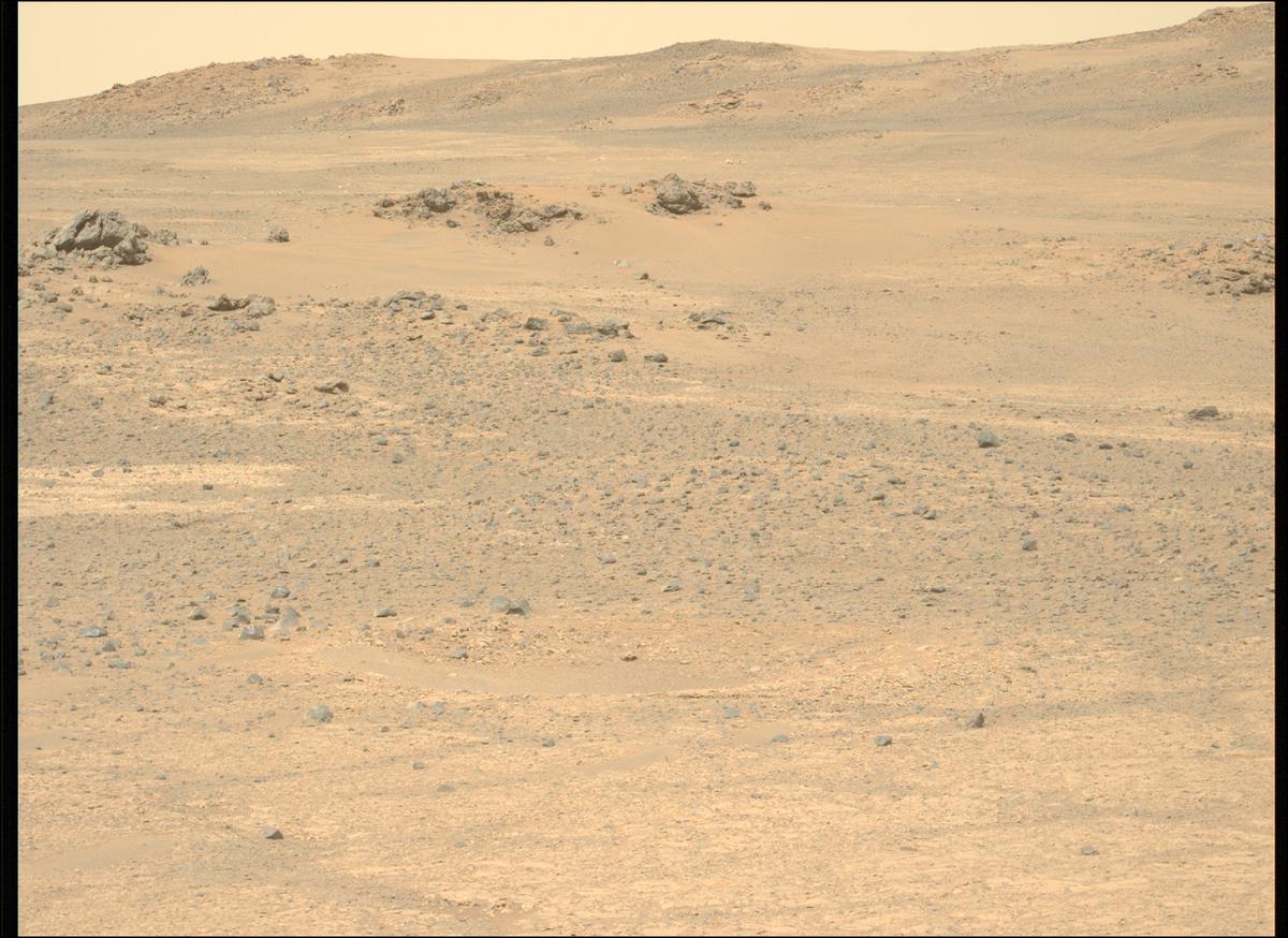 This image was taken by MCZ_LEFT onboard NASA's Mars rover Perseverance on Sol 1769