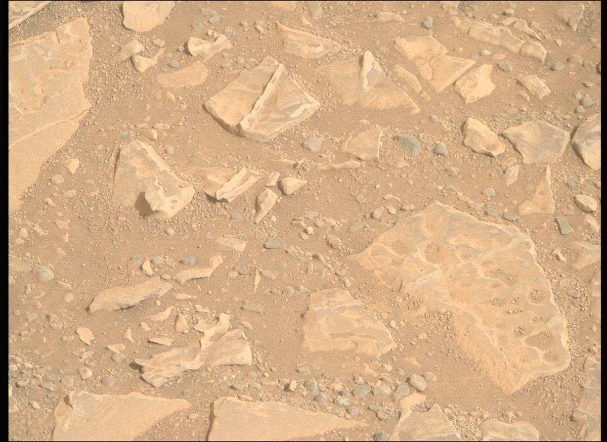 This image was taken by MCZ_RIGHT onboard NASA's Mars rover Perseverance on Sol 1769