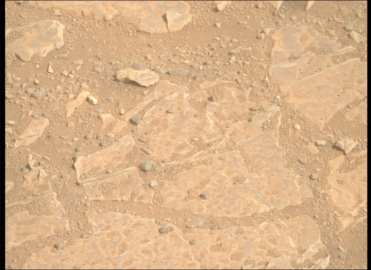 This image was taken by MCZ_RIGHT onboard NASA's Mars rover Perseverance on Sol 1769