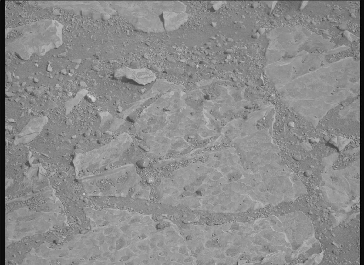 This image was taken by MCZ_RIGHT onboard NASA's Mars rover Perseverance on Sol 1769