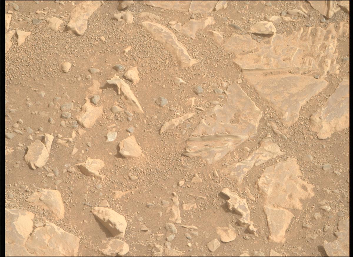 This image was taken by MCZ_RIGHT onboard NASA's Mars rover Perseverance on Sol 1769