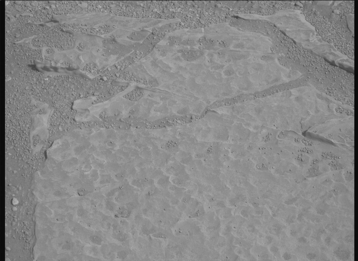 This image was taken by MCZ_RIGHT onboard NASA's Mars rover Perseverance on Sol 1769