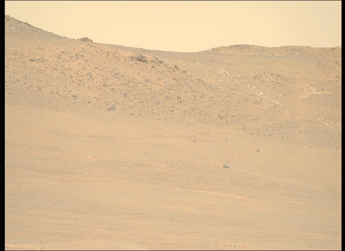 This image was taken by MCZ_RIGHT onboard NASA's Mars rover Perseverance on Sol 1769
