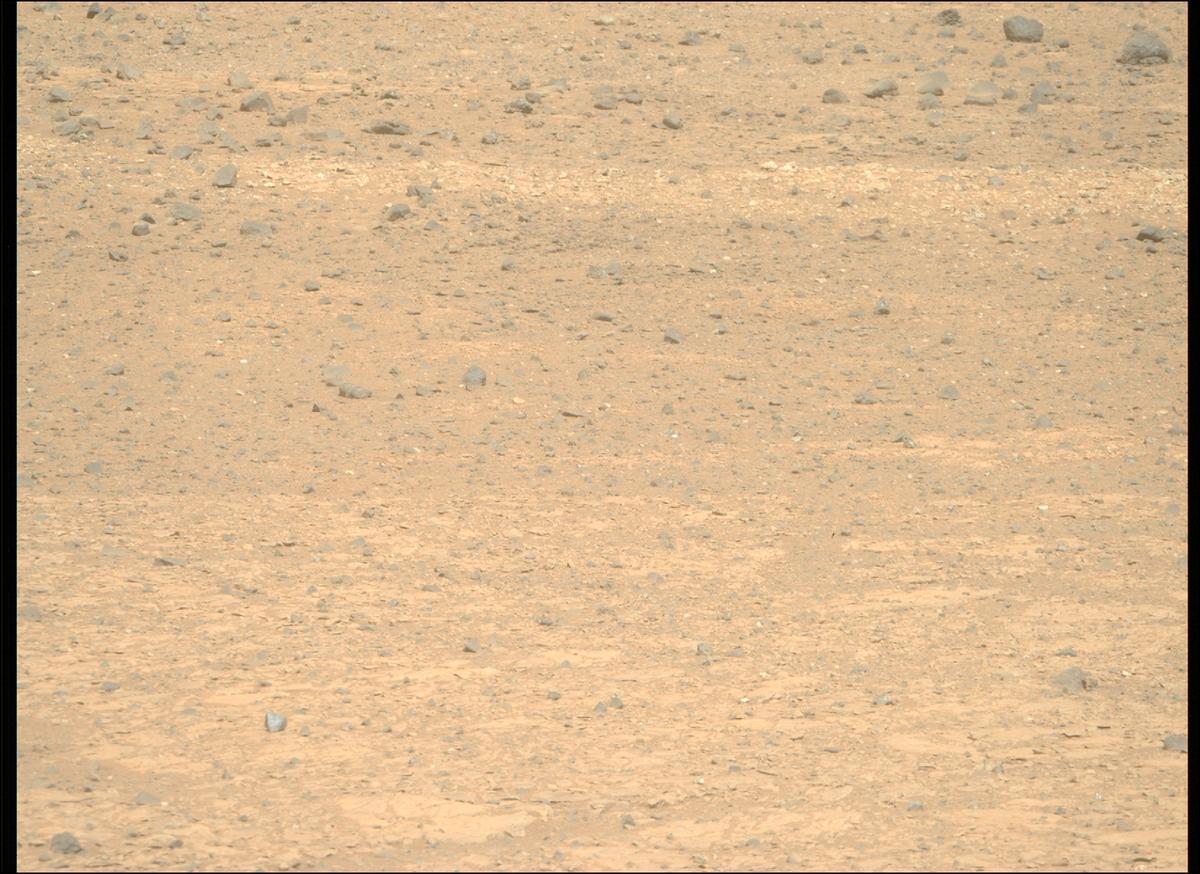 This image was taken by MCZ_RIGHT onboard NASA's Mars rover Perseverance on Sol 1769