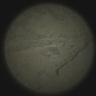 View image taken on Mars, Mars Perseverance Sol 1770: SuperCam Camera