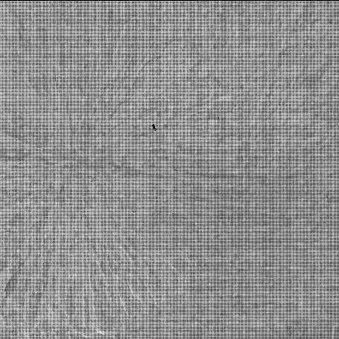 This image was taken by SHERLOC_WATSON onboard NASA's Mars rover Perseverance on Sol 1770