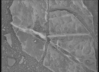 View image taken on Mars, Mars Perseverance Sol 1770: WATSON Camera 