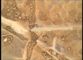 View image taken on Mars, Mars Perseverance Sol 1770: WATSON Camera 