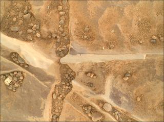 View image taken on Mars, Mars Perseverance Sol 1770: WATSON Camera 