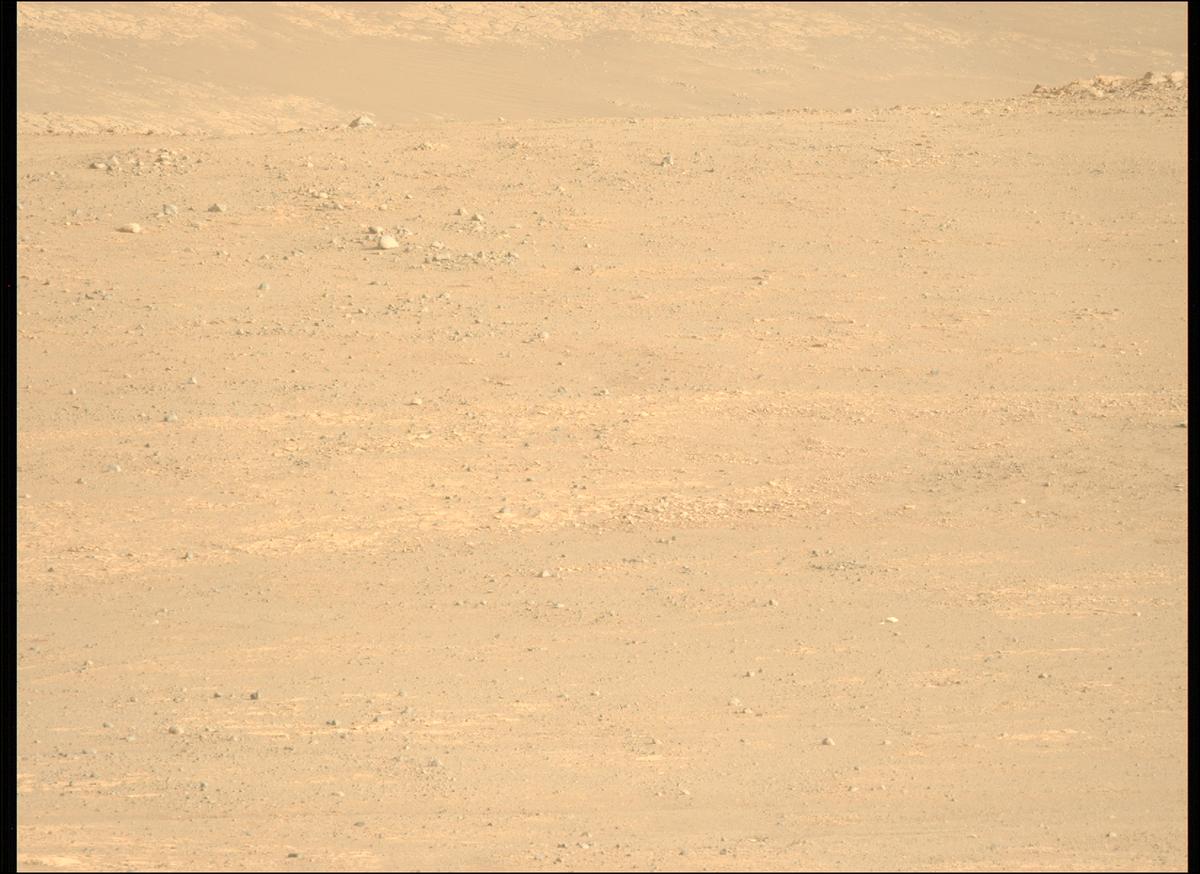 This image was taken by MCZ_LEFT onboard NASA's Mars rover Perseverance on Sol 1770