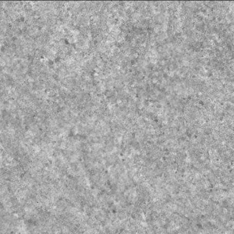This image was taken by SHERLOC_ACI onboard NASA's Mars rover Perseverance on Sol 1771