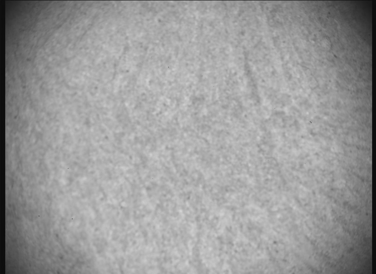 This image was taken by SHERLOC_ACI onboard NASA's Mars rover Perseverance on Sol 1771