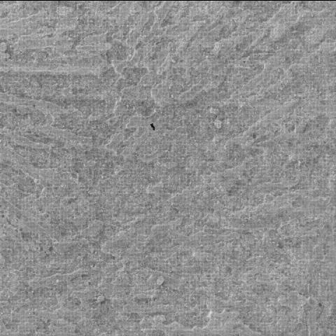 This image was taken by SHERLOC_WATSON onboard NASA's Mars rover Perseverance on Sol 1771