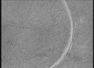 View image taken on Mars, Mars Perseverance Sol 1771: WATSON Camera 