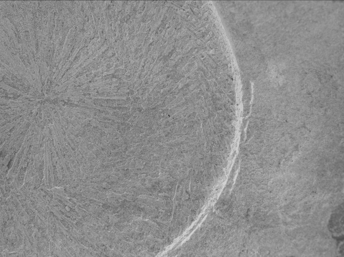 This image was taken by SHERLOC_WATSON onboard NASA's Mars rover Perseverance on Sol 1771