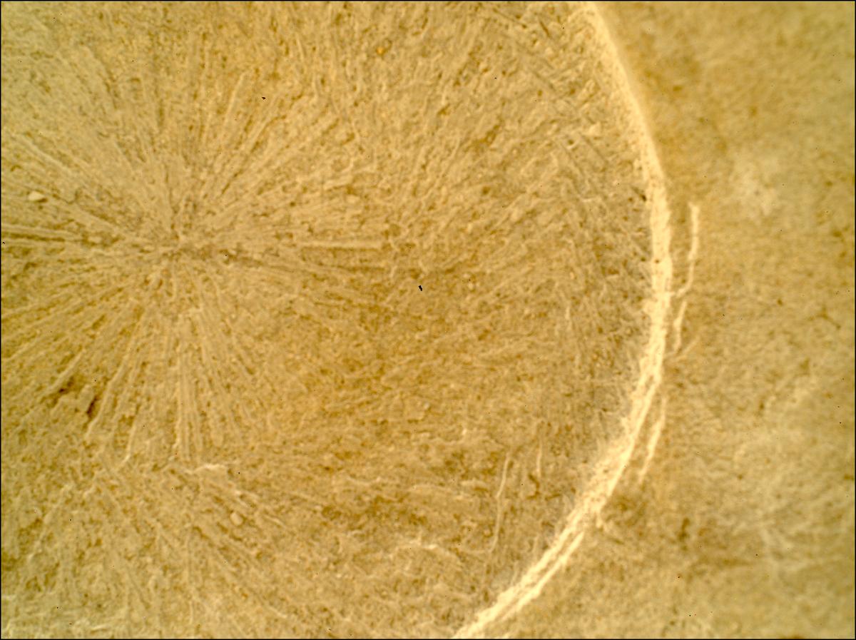 This image was taken by SHERLOC_WATSON onboard NASA's Mars rover Perseverance on Sol 1771